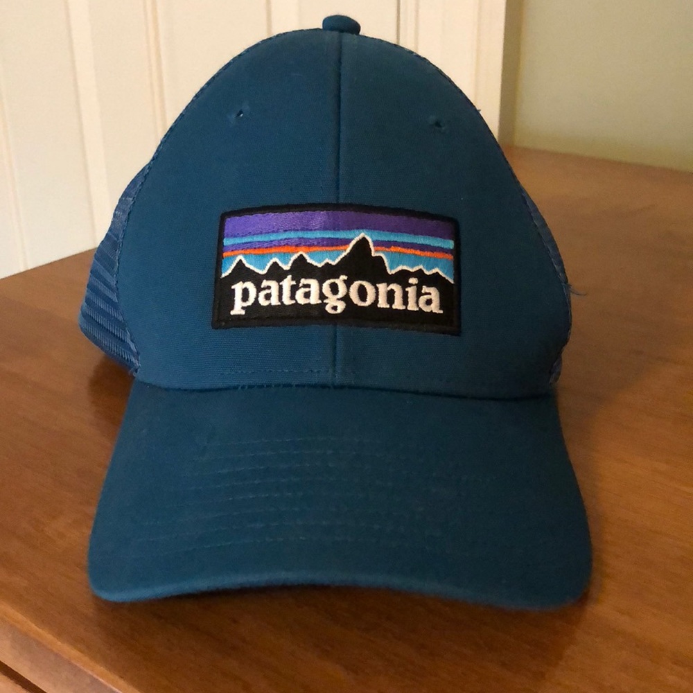 Blue Patagonia trucker hat